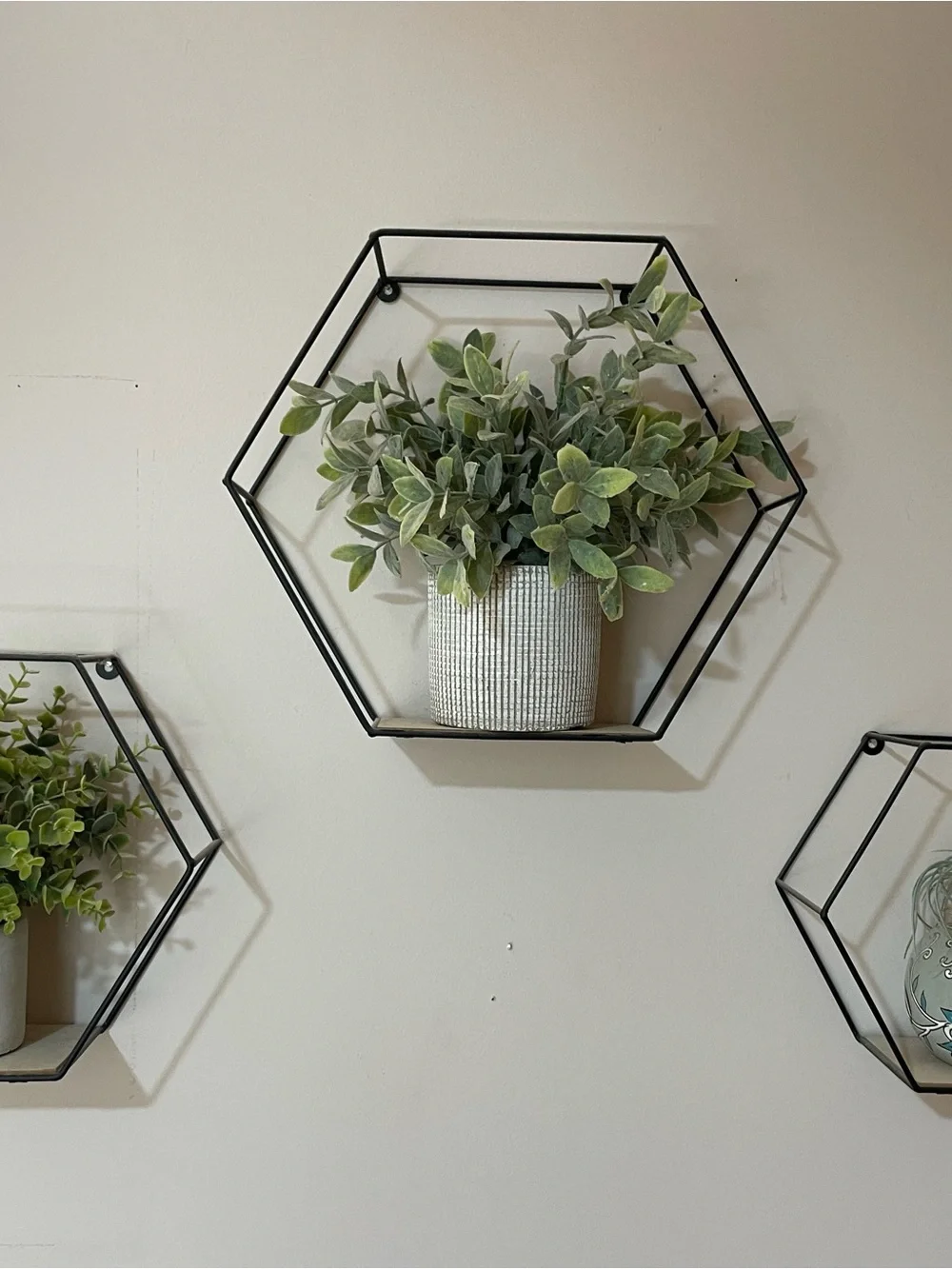 3 Black Hexagon Metal Wall Shelves-Modern Wall Decor. Plants NOT included